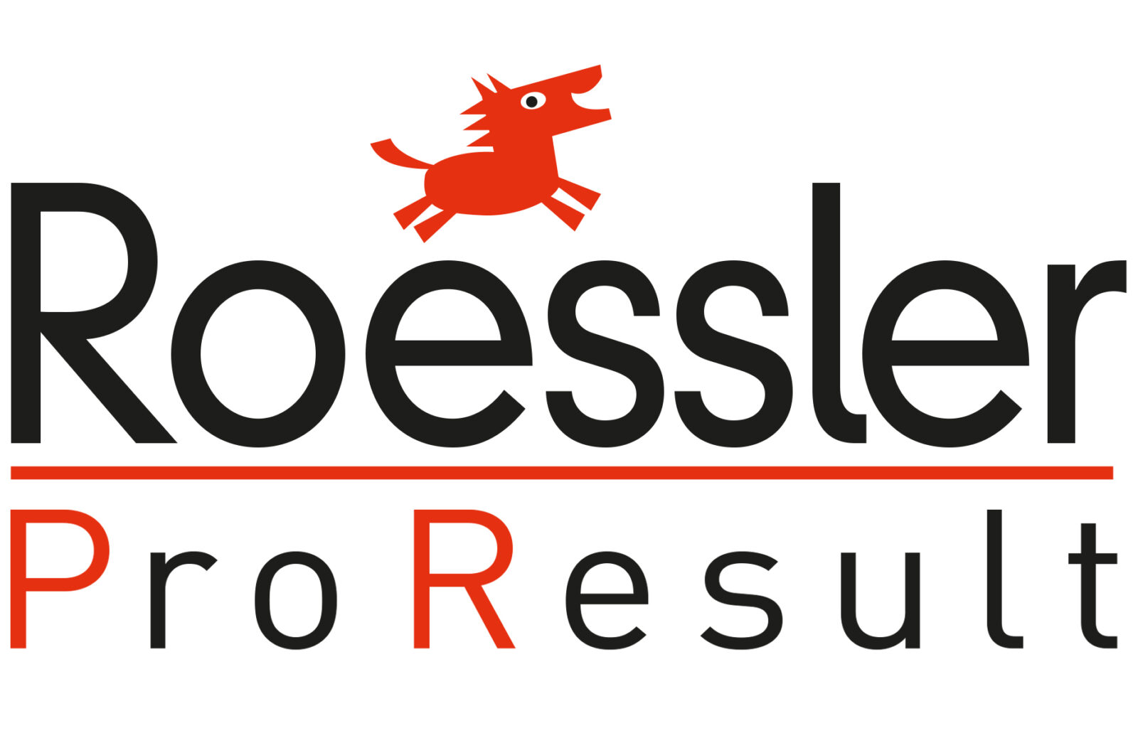 Roessler ProResult * KI. Strategie. Wirkung.