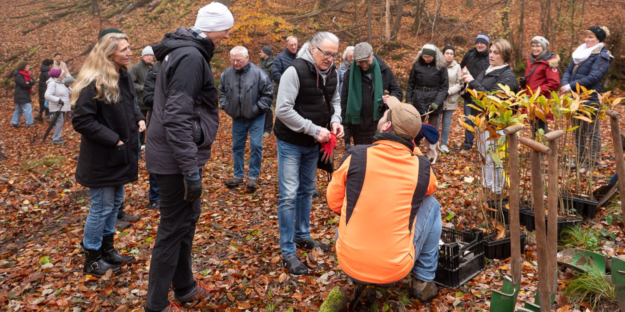Du betrachtest gerade Der BVMW-Zukunftswald im Taunus wächst