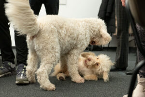 Jule und Levi; Foto: Andreas Wetzel