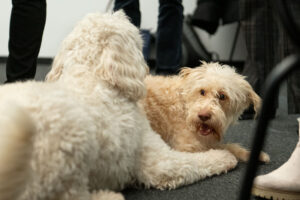 Jule und Levi; Foto: Andreas Wetzel
