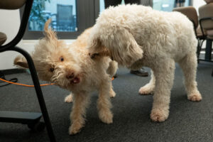 Levi und Jule; Foto: Andreas Wetzel