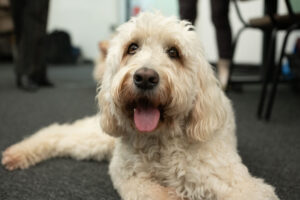 Jule; Foto: Andreas Wetzel